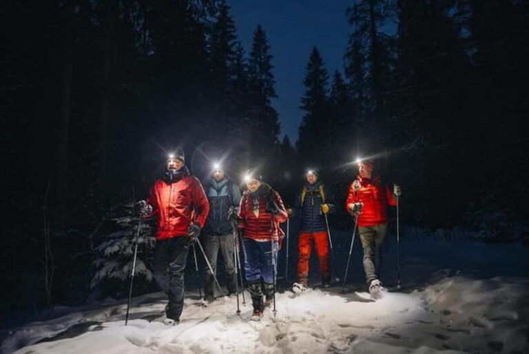 Oslo Forest: Private Mystery Nocturne Walk with Headlamps - An In-Depth Look at the Oslo Forest Nocturne Tour