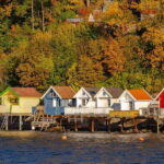 Oslo: Guided Sightseeing Fjord Cruise on Premium Silent Boat - What Makes This Tour Stand Out?