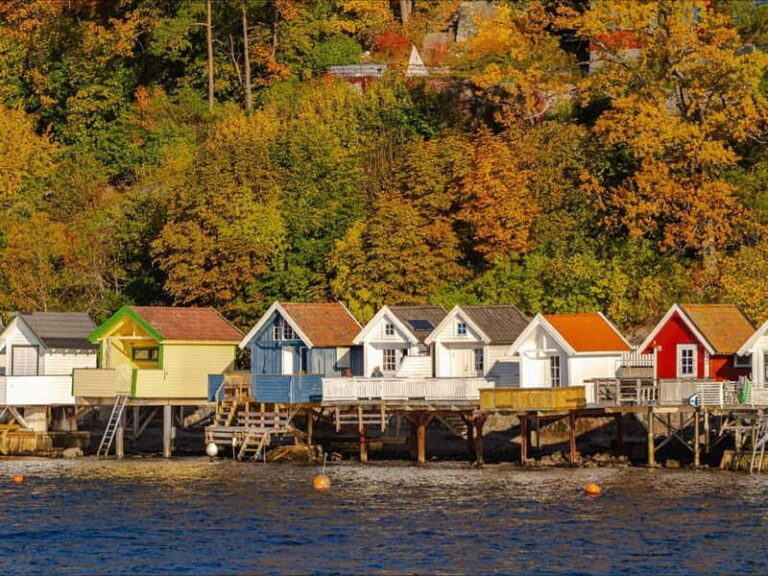 Oslo: Guided Sightseeing Fjord Cruise on Premium Silent Boat - What Makes This Tour Stand Out?