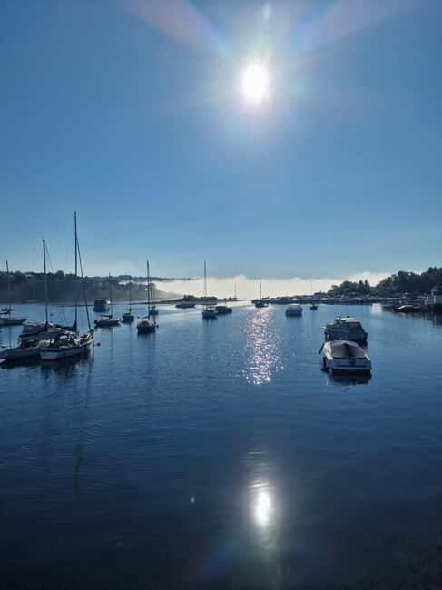 Oslo: Malmøya Island Guided Hike with Waffle and Drink - Practical Details: Timing, Group Size, and Value