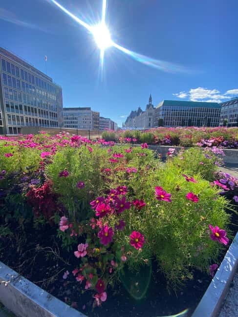 Oslo: Private Walking Tour _City Highlights & Hidden Gems - Exploring Oslo’s Iconic Landmarks