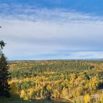 Oslo: Scenic Forest Hike with Dog & Local Guide - Why This Tour Stands Out
