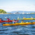 Oslo Sea Kayak Tour Fjord City - Exploring the Itinerary: What You’ll See and Do