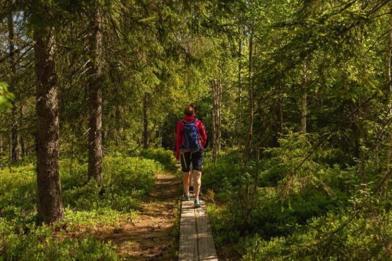 Oslo: The Magical Norwegian Woods Tour - Practical Tips for Your Trip