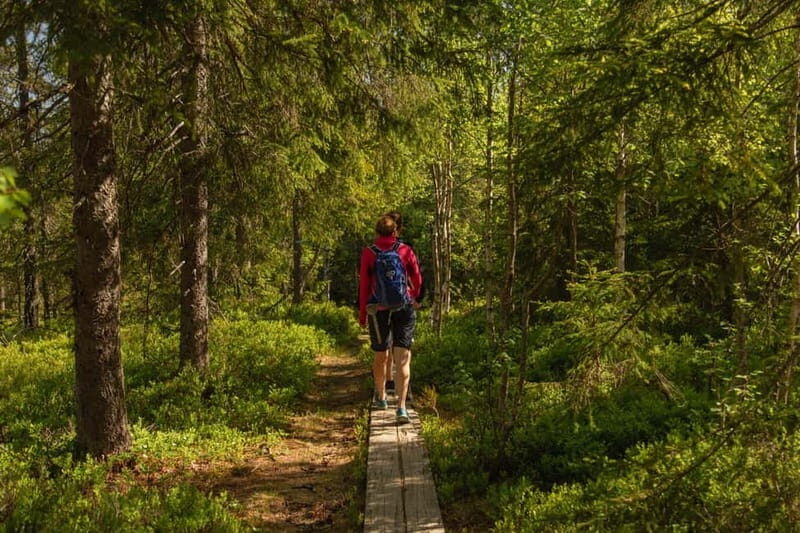 Oslo: The Magical Norwegian Woods Tour - Practical Tips for Your Trip