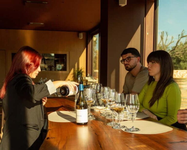 Ostuni organic wines - tour and tasting in the winery - The Real Value of the Experience