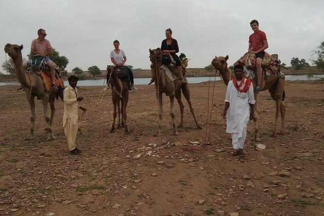 Over Night Camel Safari - Who Should Consider This Tour?