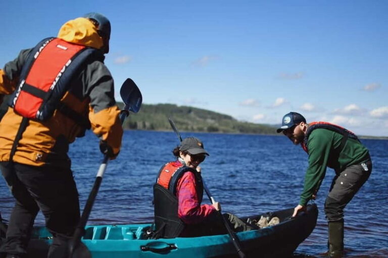 Överkalix: Midnight Sun Kayaking Tour with Dinner - Practicalities and Considerations