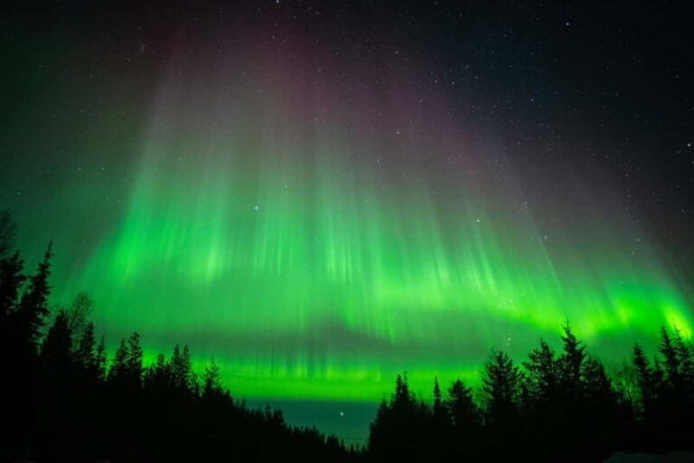 Överkalix: Snowmobile Night Tour with Northern Lights - Who Is This Tour Best For?