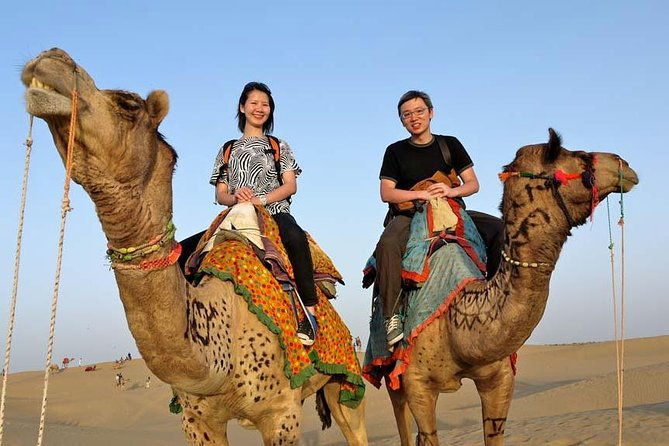 Overnight camel safari (non_touristic) - Authentic Overnight Camel Safari in Jaisalmer: An Experience Worth Your Time