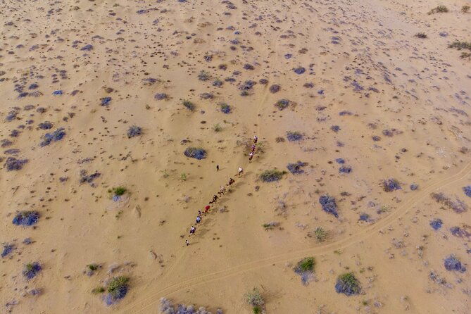 Overnight Camel Safari - Sleeping under the Stars - Key Points