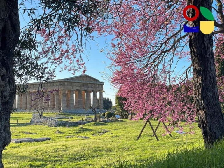 Paestum: City Orientation Tour - The Walls of Paestum and Its Historic Significance