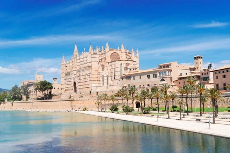 Paguera or Santa Ponsa: Speedboat Cruise to Palma - What Do Travelers Love About This Tour?