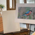 Paint and Sip in kent - The Value of This Paint and Sip Experience