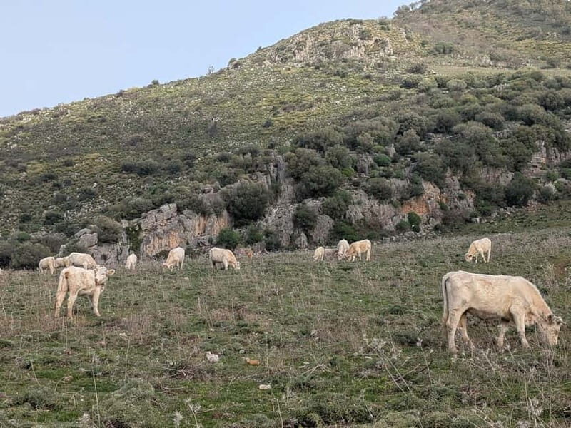 Palermo: Between Sea and Mountains; an off-road bike day trip - The Practical Details
