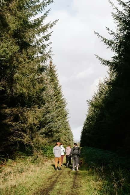 Panoramic hiking in the Florentine hills with Vincenzo - The Logistics and Practicalities