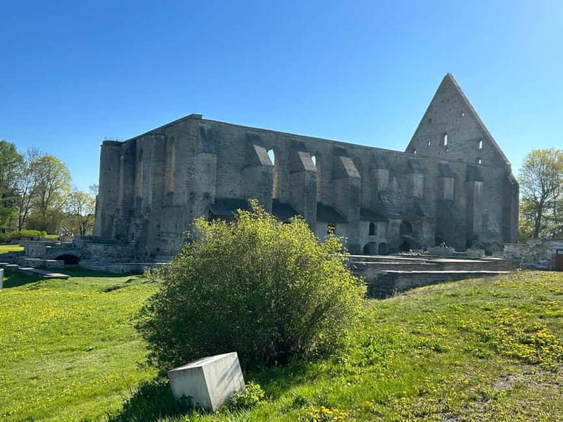 Panoramic Tour over Tallinn by vehicle - Practical Details and What to Expect