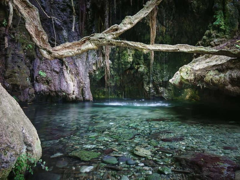 Paphos: Akamas, Baths of Aphrodite and Blue Lagoon Day Tour - Detailed Breakdown of the Itinerary