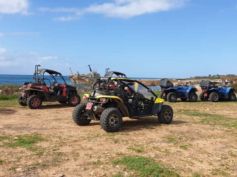 Paphos: Buggy Safari to Akamas Peninsula with Lunch - The Itinerary in Detail