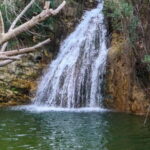 Paphos: Half Day Jeep Tour Akamas Peninsula (Private) - Exploring the Akamas Peninsula in Style and Comfort