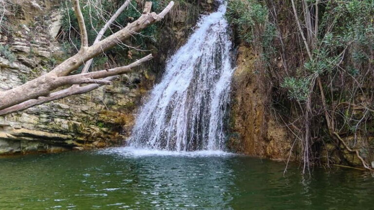 Paphos: Half Day Jeep Tour Akamas Peninsula (Private) - Exploring the Akamas Peninsula in Style and Comfort