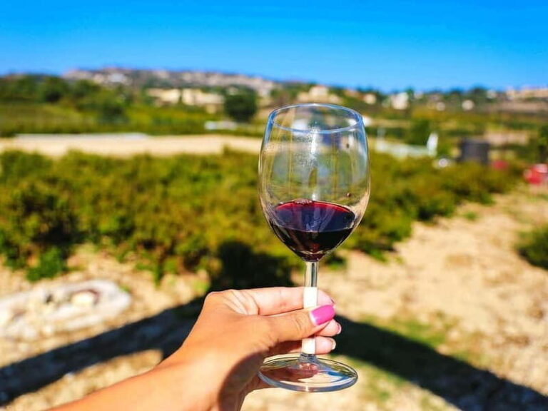 Paphos: Local Wineries Tour with Wine Tastings - Detailed Breakdown of the Itinerary
