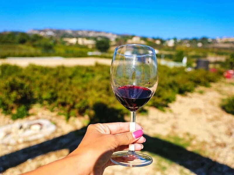 Paphos: Local Wineries Tour with Wine Tastings - Detailed Breakdown of the Itinerary