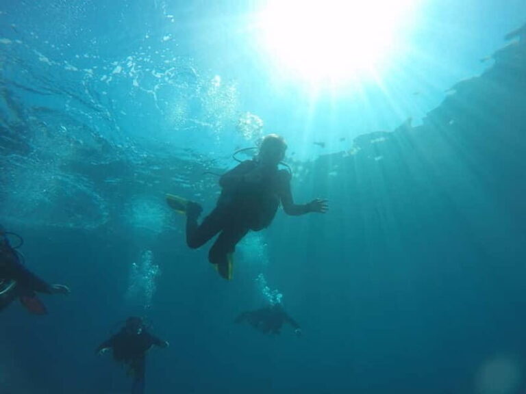 Paphos: Professional Dive Experience PADI British Instructor - In-Depth Look at the Itinerary