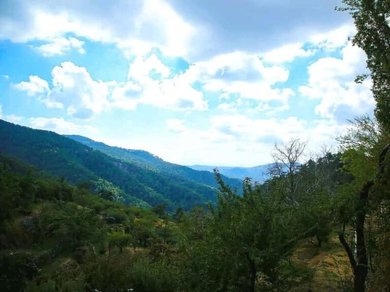 Paphos: Tour to Troodos, Kykkos Monastery, Omodos and Winery - The Scenic Drive Through Troodos Mountains