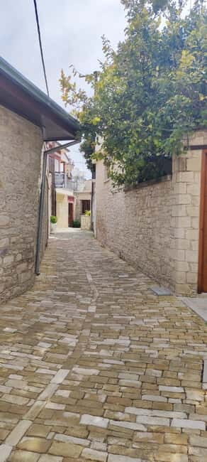 Paphos: Troodos Mountains Villages Tour with Wine Tasting - Whats Included and Whats Not