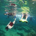 Paphos: Turtle-Watching Snorkeling Sea Scooter Trip - Who Will Love This Tour?