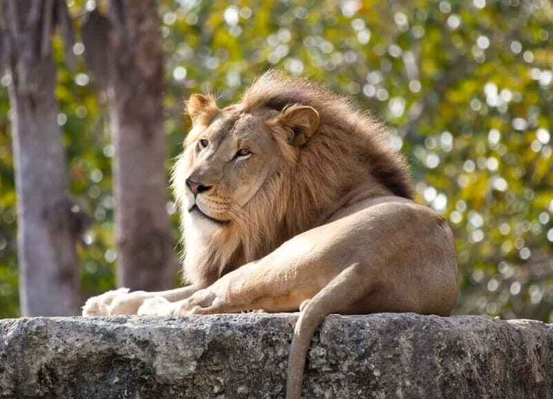 Paphos: Zoo Visit and Blue Lagoon Cruise with Guide & Lunch - An In-Depth Look at This Paphos Adventure