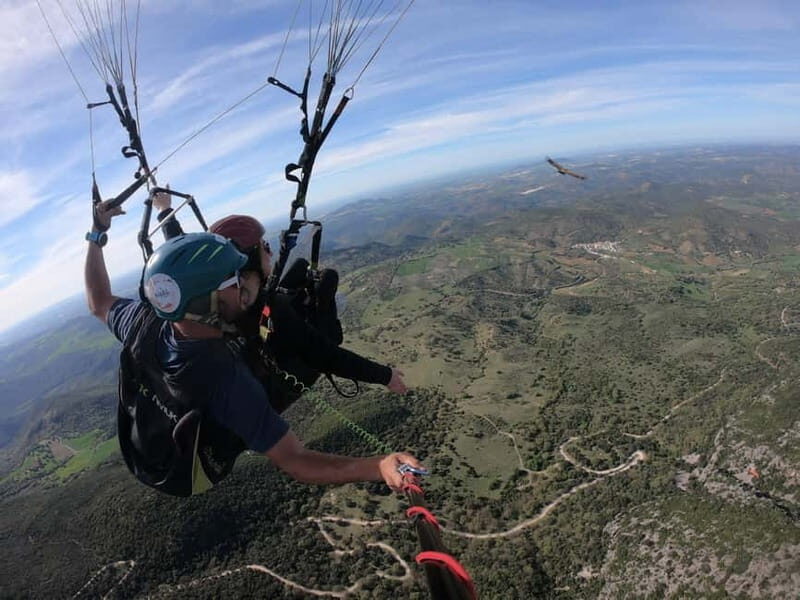 Paragliding: near Ronda (Málaga) - What to Expect from the Experience