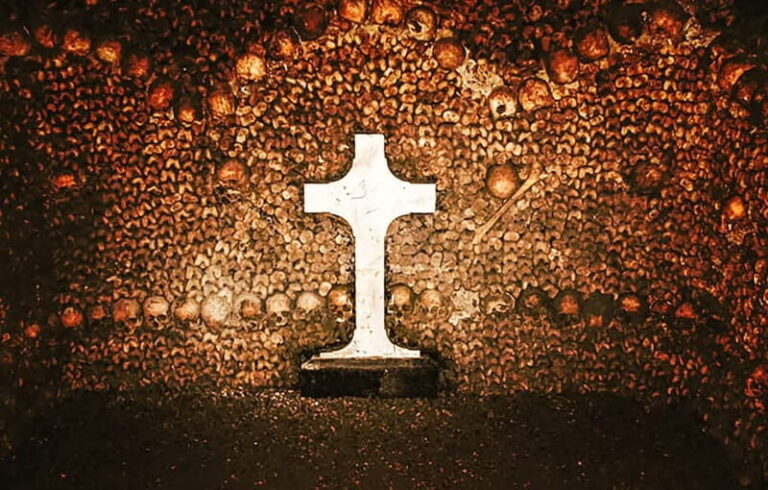 Paris: Catacombs Guided Tour - The Tour Experience: What You’ll Actually See and Learn