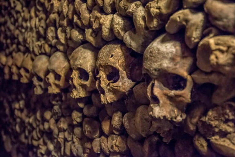 Paris: Catacombs Special Access Tour - Analyzing the Cost and Overall Value