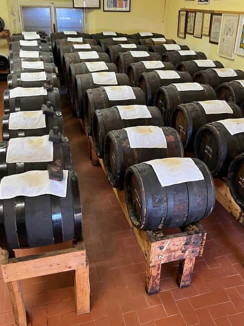 Parmesan, Wine, Balsamic Full Day Tour with Lunch - What Makes This Tour Special?