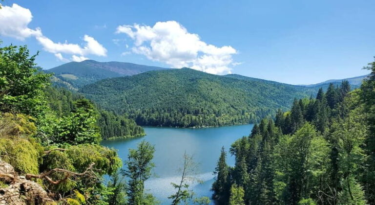 Pick-up from Cluj: e-Mountain Bike Tour Lake Dragan - The Experience: Pros and Cons