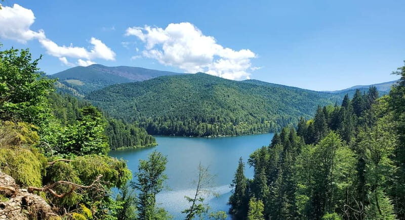 Pick-up from Cluj: e-Mountain Bike Tour Lake Dragan - The Experience: Pros and Cons