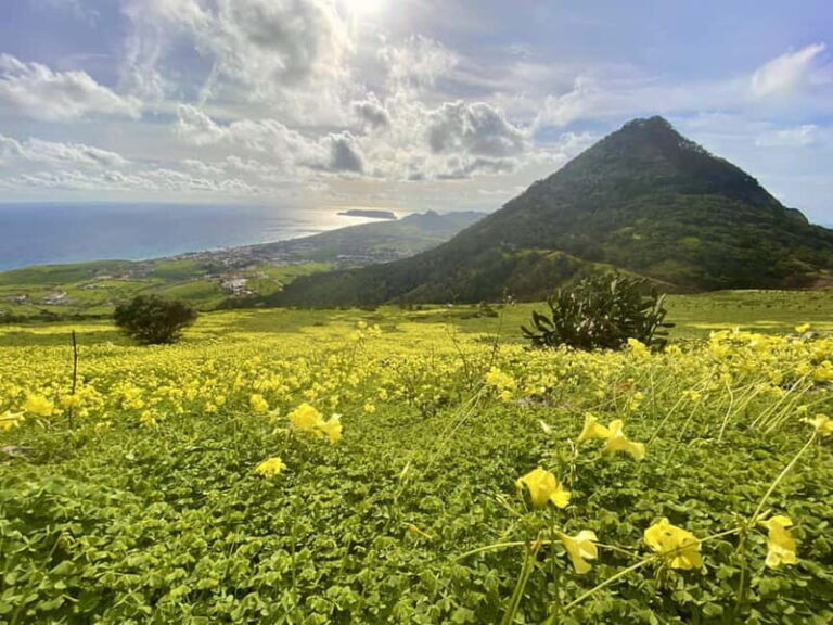 Pico Castelo & Pico Facho Vereda: Walk with Spectacular View - What to Expect on the Trail