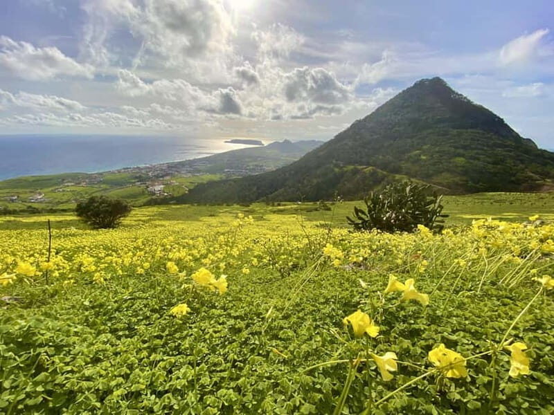 Pico Castelo & Pico Facho Vereda: Walk with Spectacular View - What to Expect on the Trail