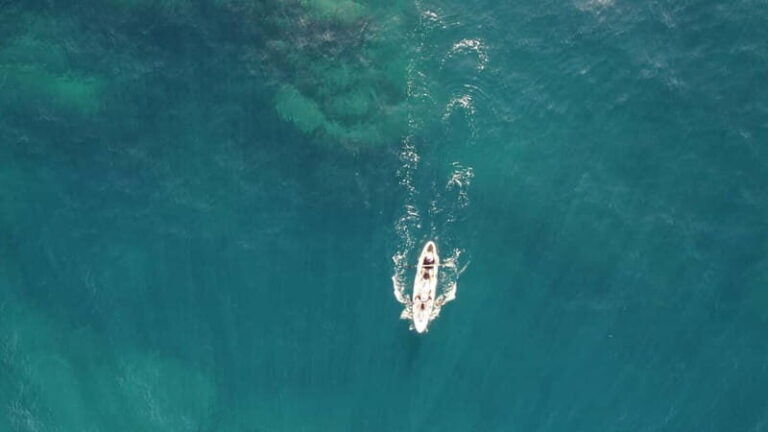 Pico island: guided kayak and snorkel tour - What to Expect from the Experience