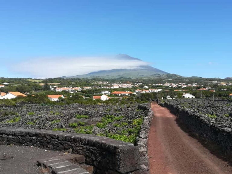 Pico Island: Tours on Pico Island - Exploring Pico Island: An In-Depth Look