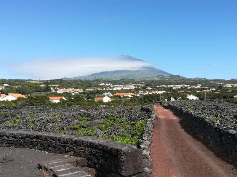Pico Island: Tours on Pico Island - Exploring Pico Island: An In-Depth Look