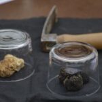 Piedmont: Truffle Hunting - The Detailed Experience Breakdown
