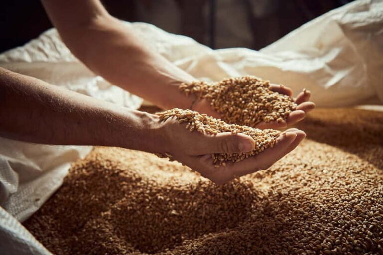 Pienza: tour of the mill with oil and wine tasting - Why This Tour Offers Real Value