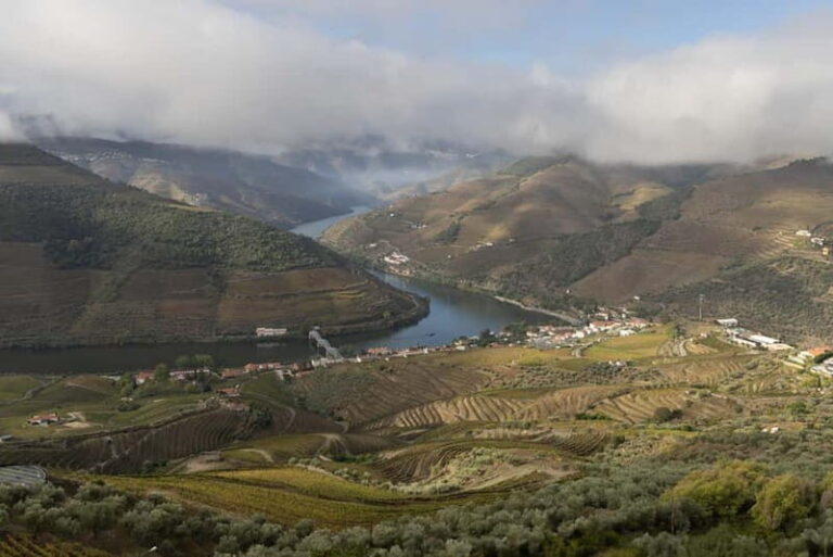 Pinhão: Douro Valley Guided Hike - Starting Point: Estação Ferroviária do Pinhão