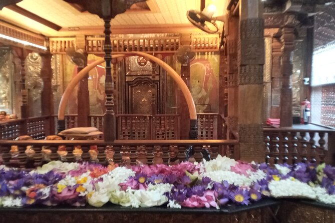 Pinnawala private day trip from colombo or negombo - An Authentic, Well-Organized Day from Colombo or Negombo