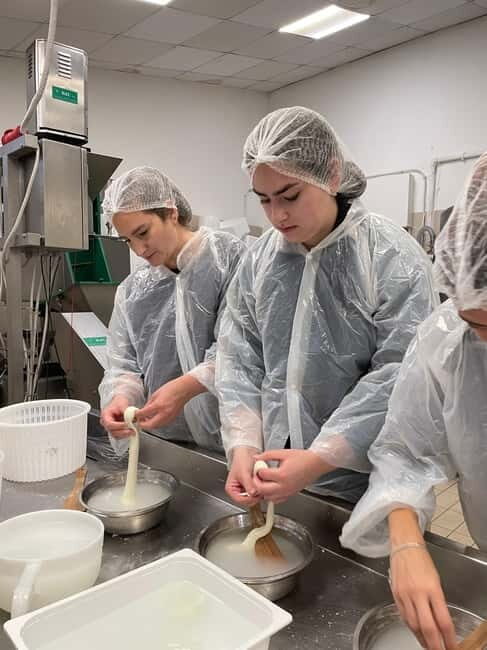Pisa: Exclusive Private Cheese Making and Tasting Experience - Practicalities and What to Expect
