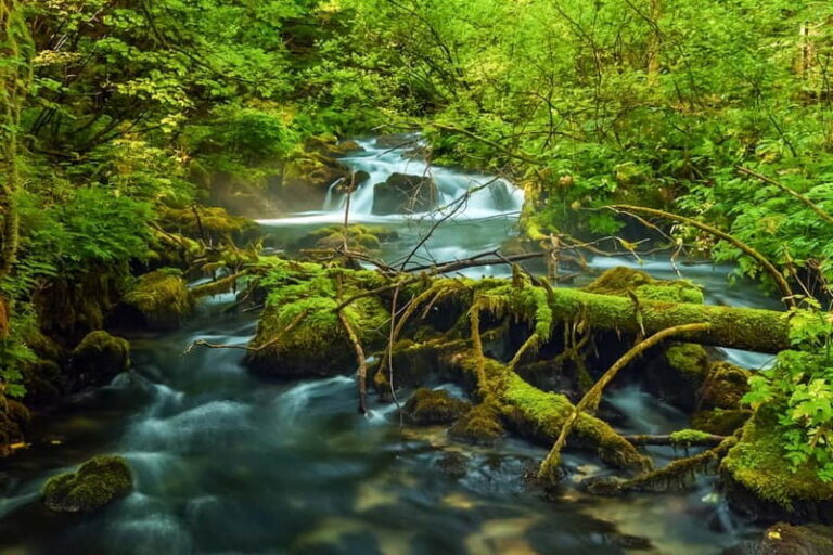 Plitvice Lakes: Guided Walking Tour with Train and Boat Ride - The Practicalities and Value