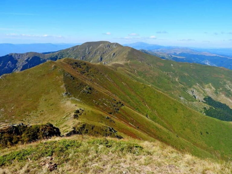 Plovdiv: Central Balkan National Park Guided Hike - What Makes This Tour Stand Out